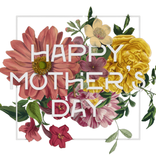 Mother's Day Special Package - Bali Floating Kitchen - package